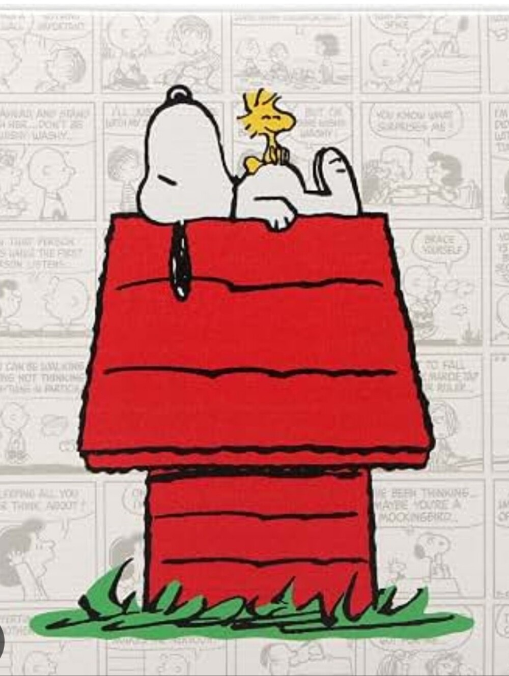 Peanuts Snoopy & Woodstock Doghouse Comic Strip Glass Cutting Board